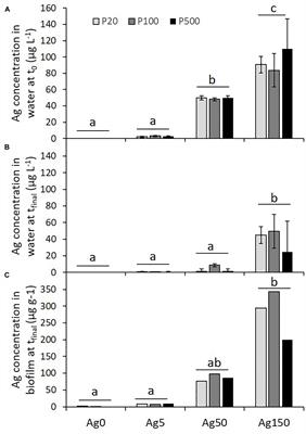 Interactive Impacts of Silver and Phosphorus on Autotrophic Biofilm Elemental and Biochemical Quality for a Macroinvertebrate Consumer